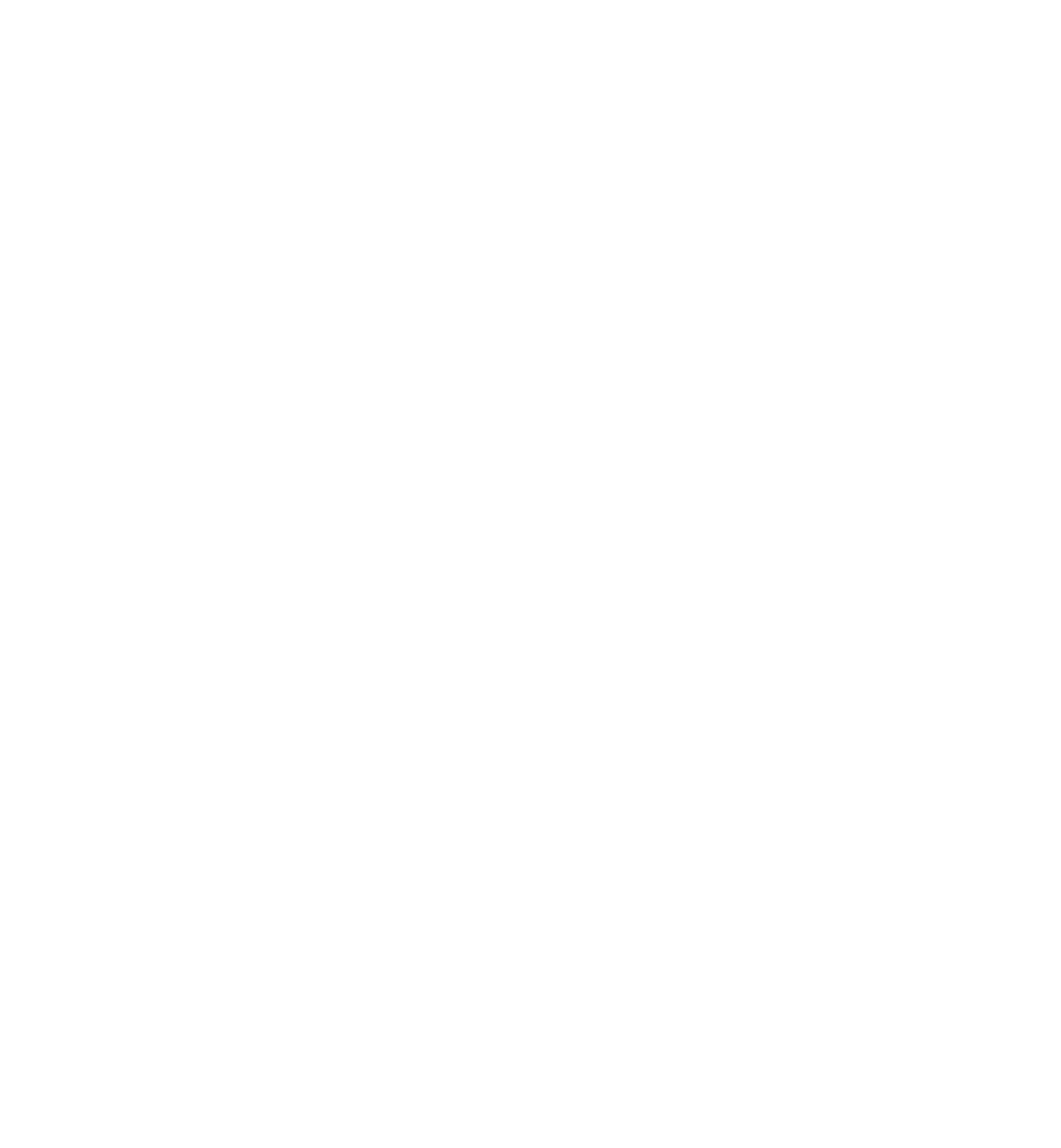 Divora logo